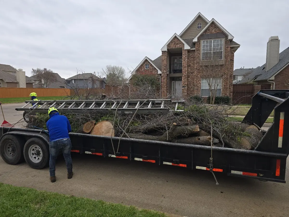 Expert Tree Fertilization with proper safety equipment in Butterfield